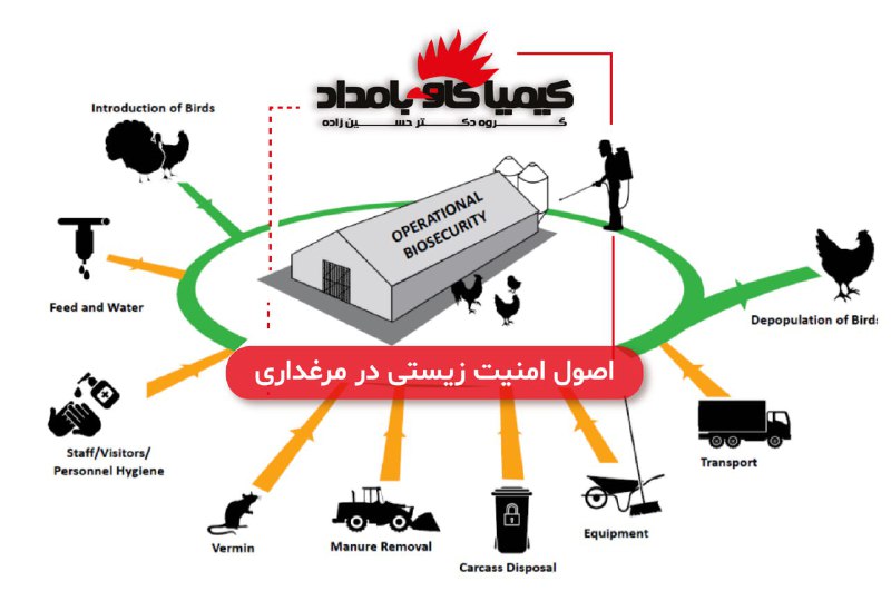 گروه دکتر حسین زاده