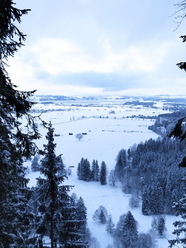 En randonnée, j'ai croisé des paysages …