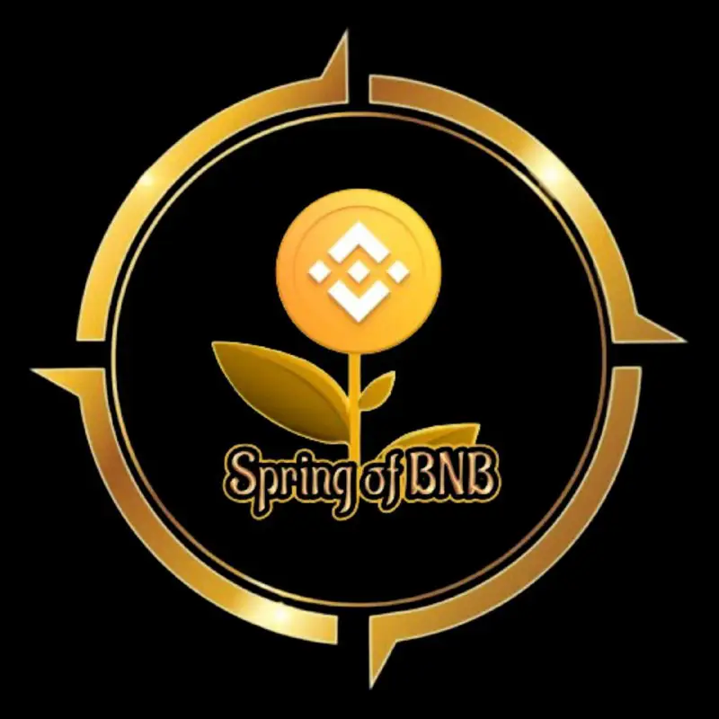 **SPRING OF BNB** *****?***** **| Presale