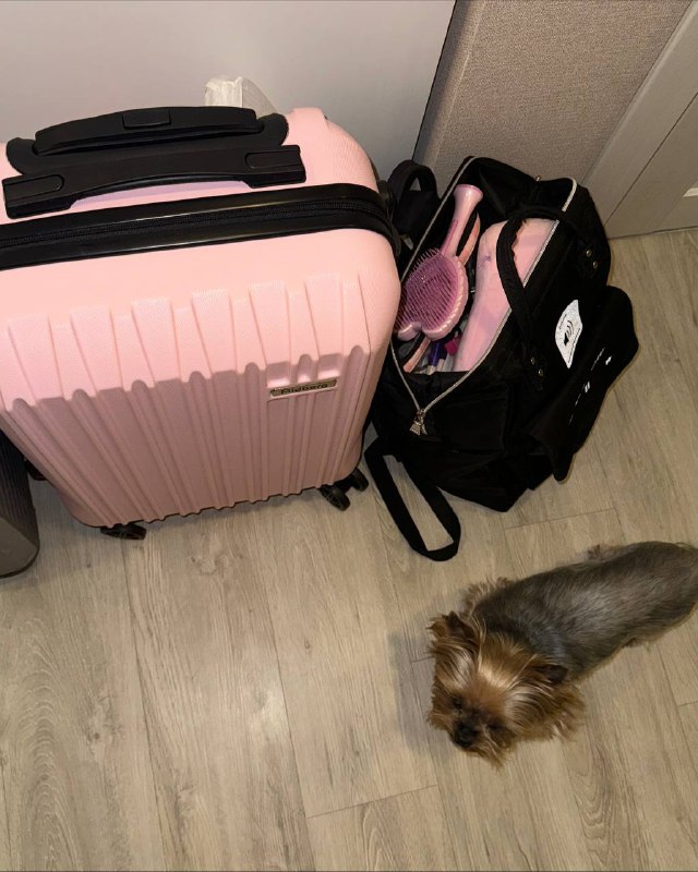 returned home