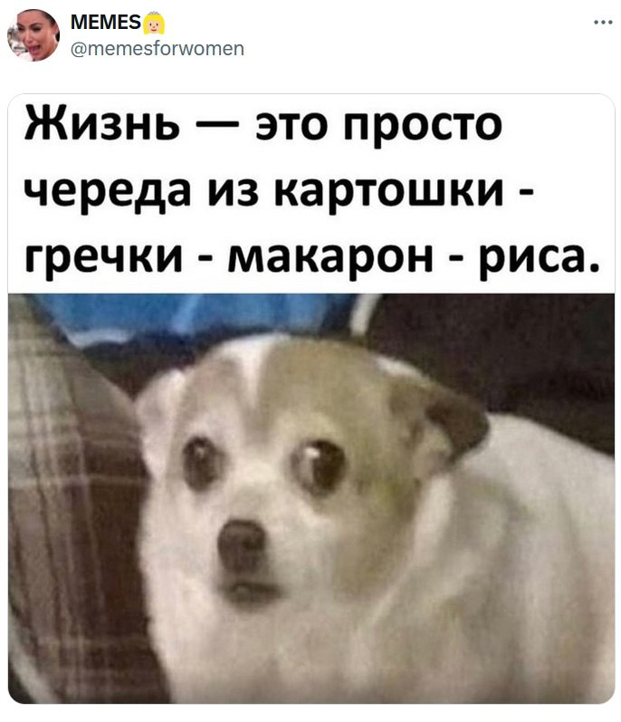 кисундра понимает