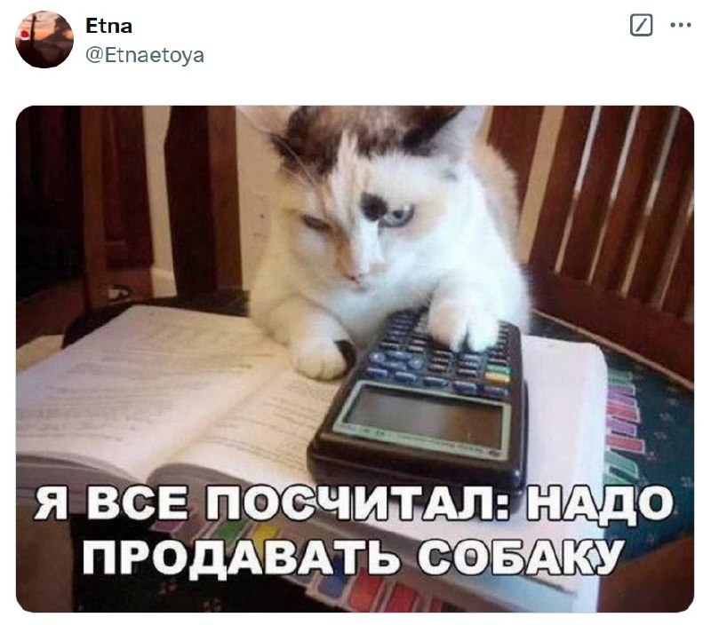 кисундра понимает