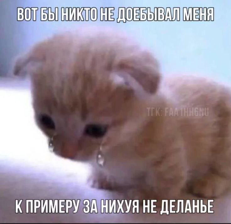 Шерстяной уголок