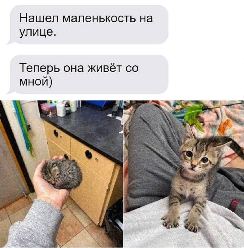 кошковарёжки