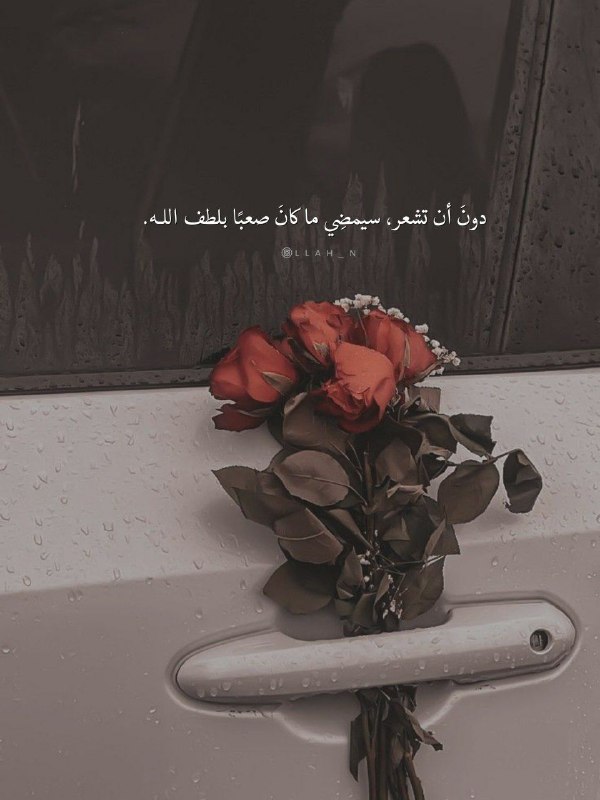 دونَ أن تشعر، سيمضِي ما كانَ …