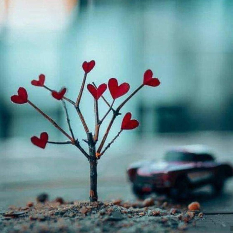‏و اختر من تزرعهم في أرض …