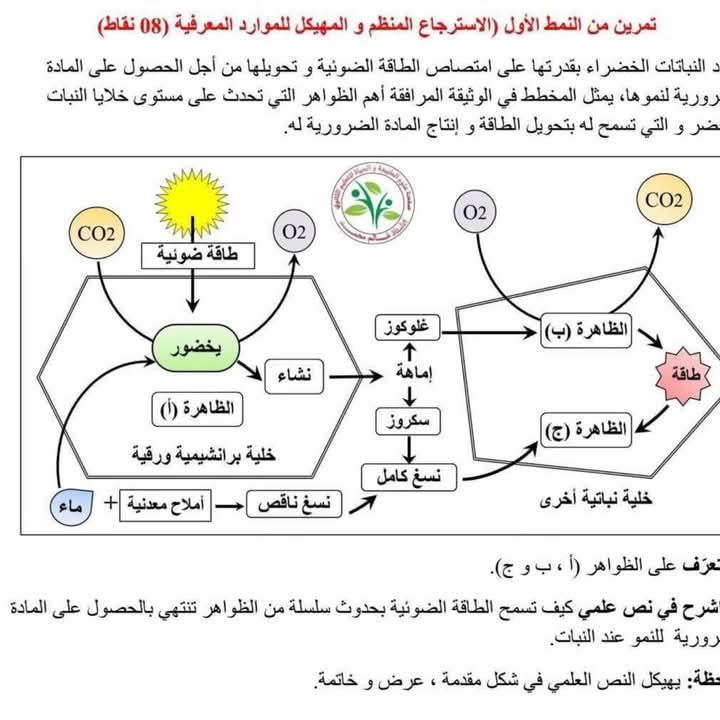 السنة الاولى علمي***?******?******?***