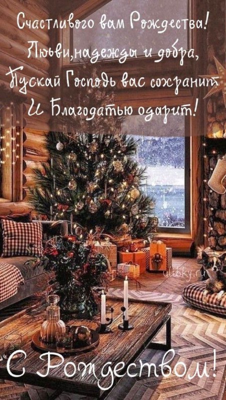 Школа-студия «Dance group SCREAM»