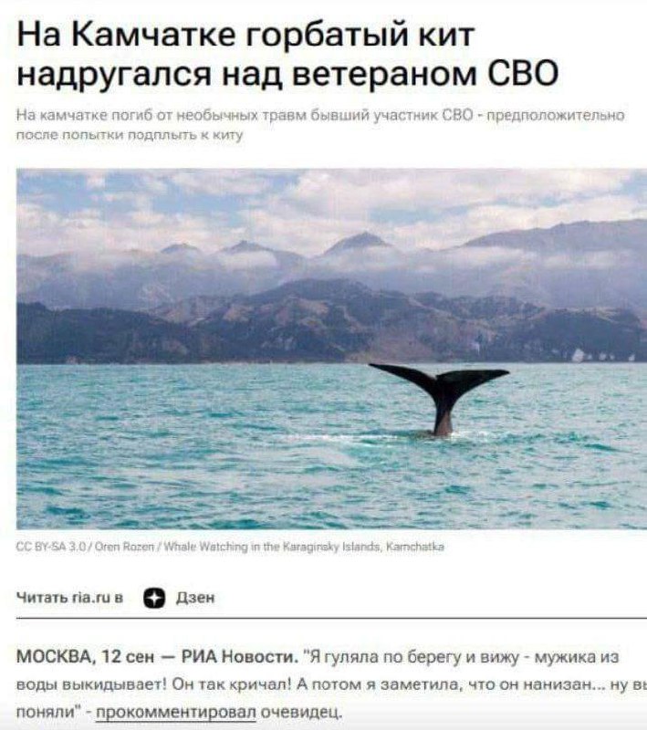 Мемошная Хомяка