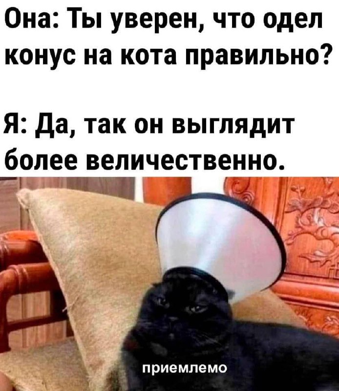 Мемошная Хомяка