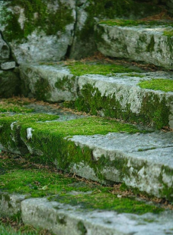 Treppen stehen oft für Entwicklung, Fortschritt