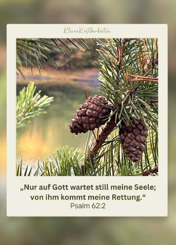 [#Psalm62](?q=%23Psalm62),2 [#Warten](?q=%23Warten) [#Hoffnung](?q=%23Hoffnung) [#Rettung](?q=%23Rettung) [#Geduld](?q=%23Geduld) [#Gott](?q=%23Gott)