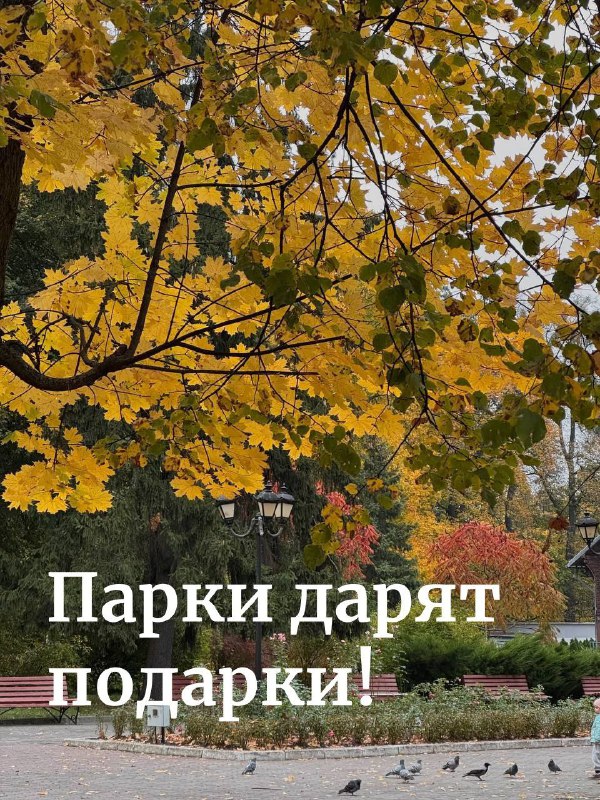 **ФОТОКОНКУРС «ОСЕНЬ В КАДРЕ»*****📸******🍁***