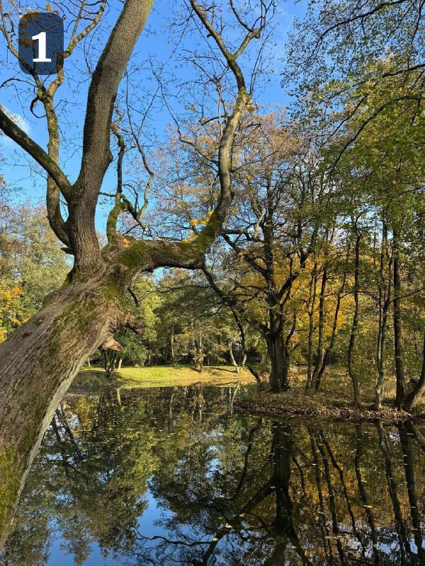 **ФОТОКОНКУРС «ОСЕНЬ В КАДРЕ»: ИТОГИ*******📸**********🍁*****