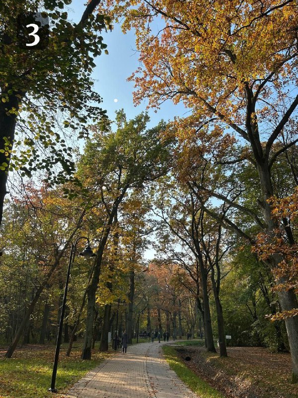 Парки Калининграда 🌳