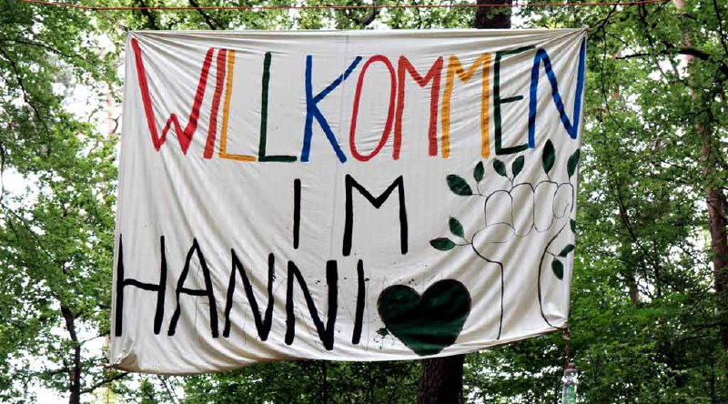 Das Waldstück darf ab Oktober für …