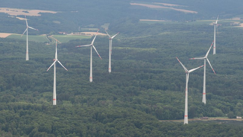 **Studie: Diese Schäden verursachen Windkraftanlagen am …