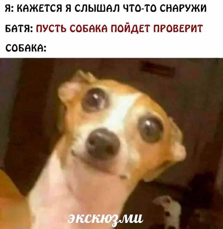 Откуда это взялось и что с …