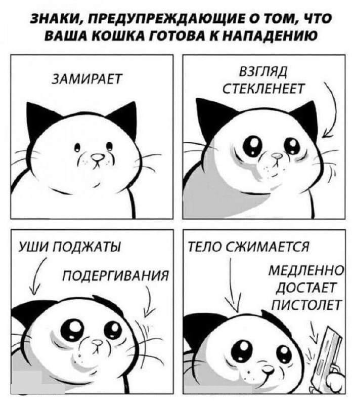 Откуда это взялось и что с …