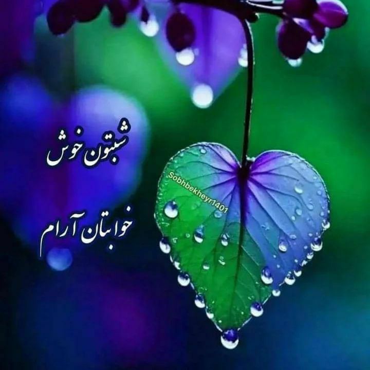 ***?*****اولین و آخرین پناه رحمت خـــداست