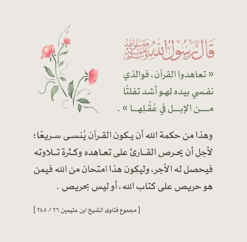 قدراتي 🌱