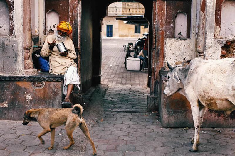 کجارو - Kojaro