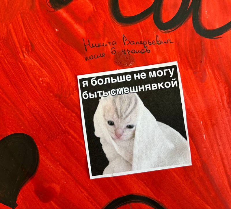 лягушатник кохи