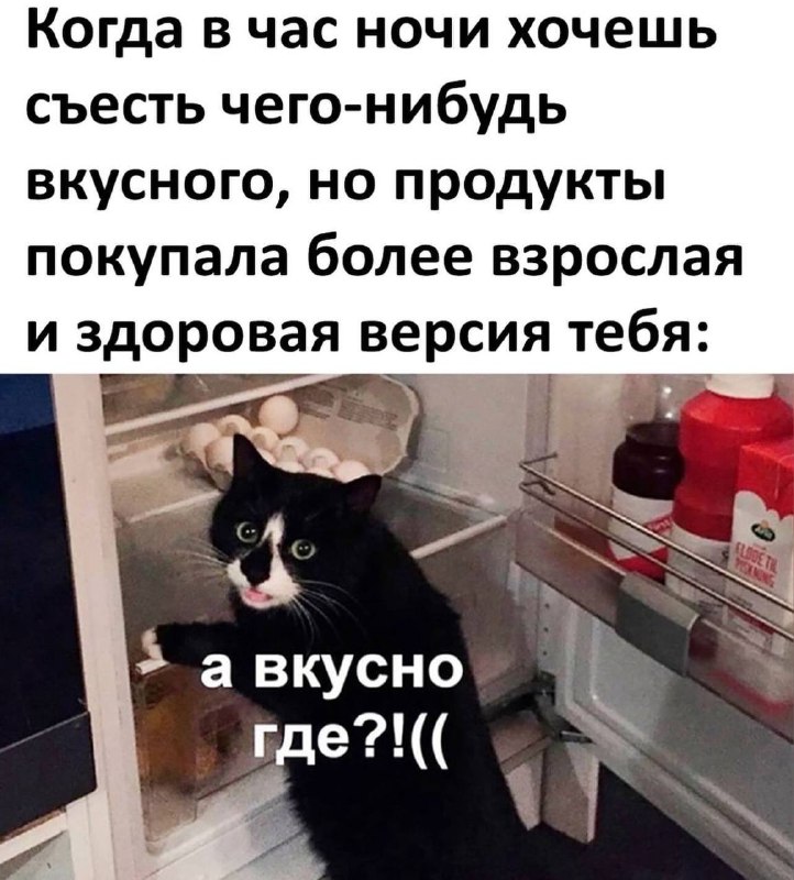 Котишки