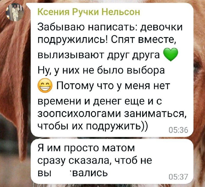 И вот еще ***😄*** Если помните, …