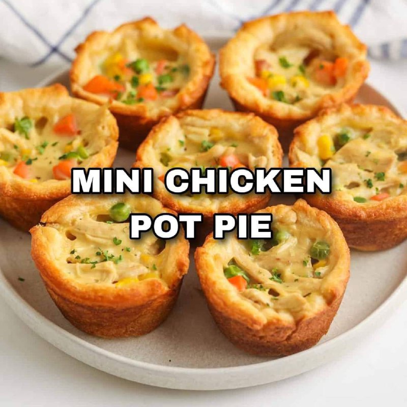 RESEPI MINI CHICKEN POT PIE