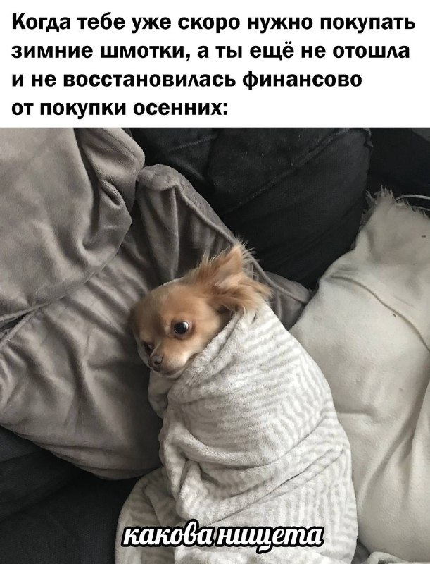 Первый колготочный