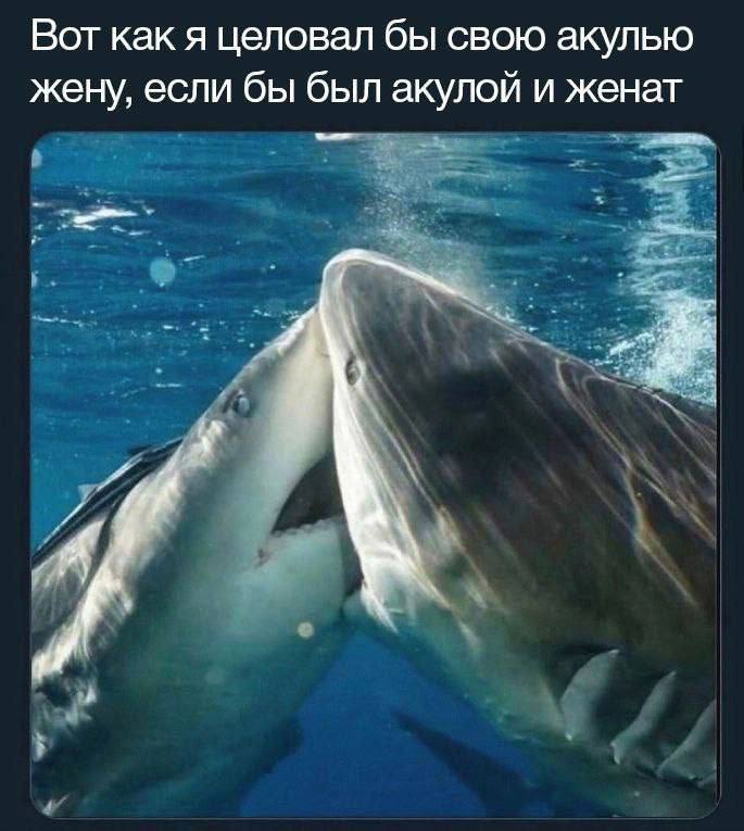 мемовое побоище