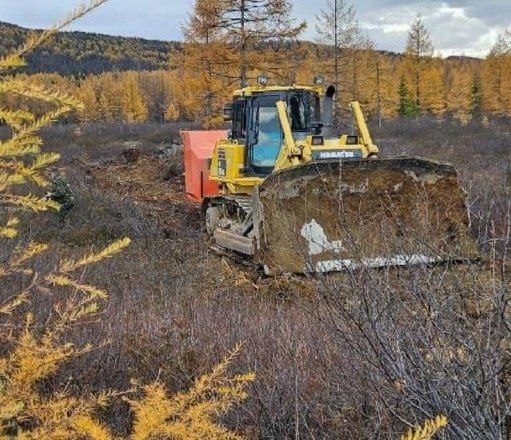 Почти тысячу гектар леса восстановили старатели …