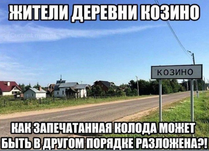 Саша_Конь.jpg