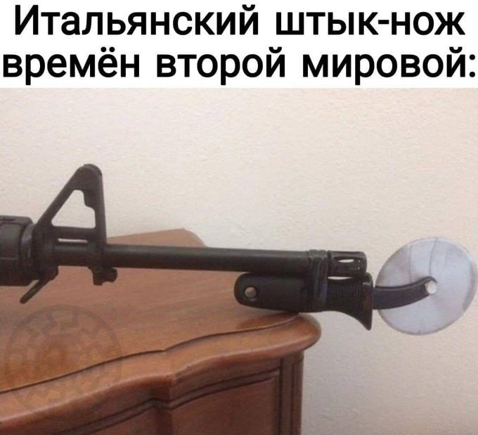 Саша_Конь.jpg