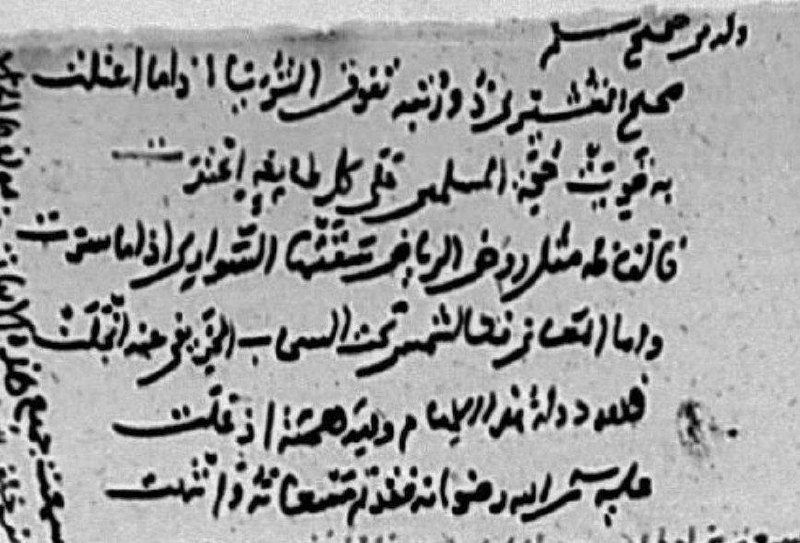 **لأبي الفتوح العجلي في صحيح مسلم**