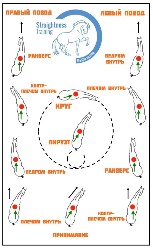 [УПРАЖНЕНИЯ ДЛЯ СИММЕТРИЧНОСТИ](https://telegra.ph/UPRAZHNENIYA-DLYA-SIMMETRICHNOSTI-11-09)