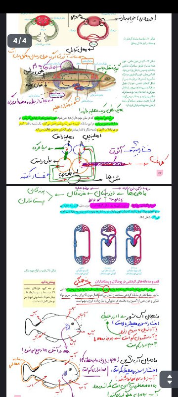 کانال گروه مشاوره کاپا | Capa