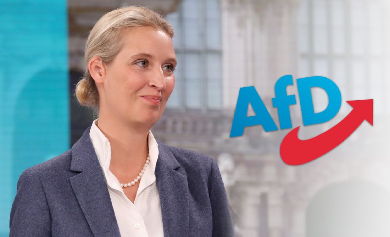 Im Umfeld der FPÖ gibt es …