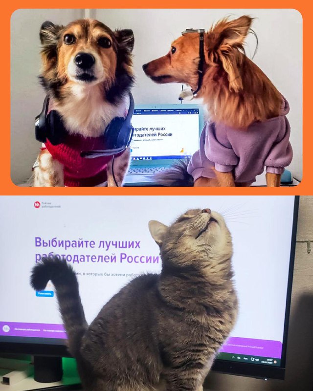 Работа и жизнь в Контуре