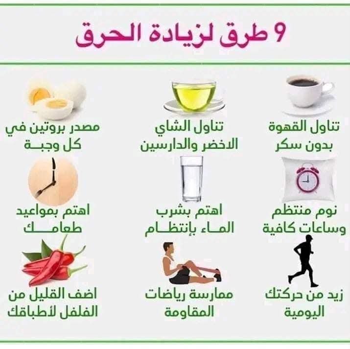 رجيم مجاني👌