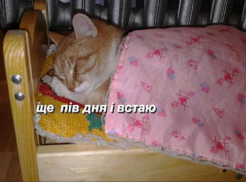 всіх з наступившим 2025 ***?*** наснаги …