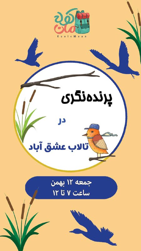 از مجموعه برنامه های بهتر ببینیم