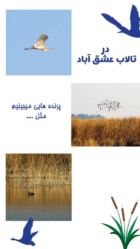 🎒کوله‌مان