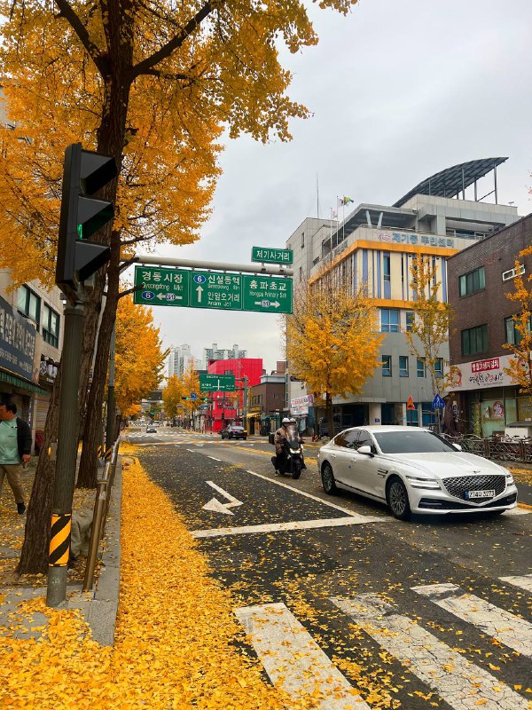 한국 노래