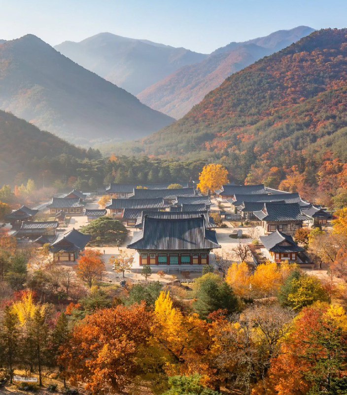 KoreanMohae✨️
