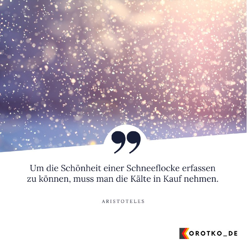 *Um die Schönheit einer Schneeflocke erfassen …