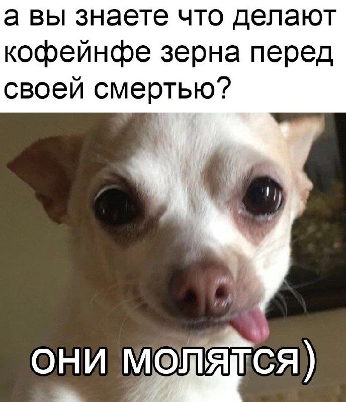 Мемная корзина