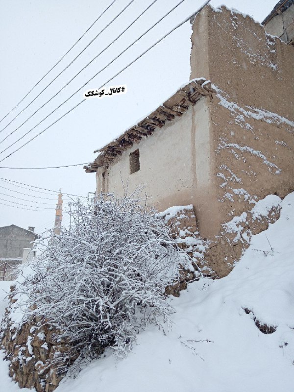 کانال کوشکک🌾