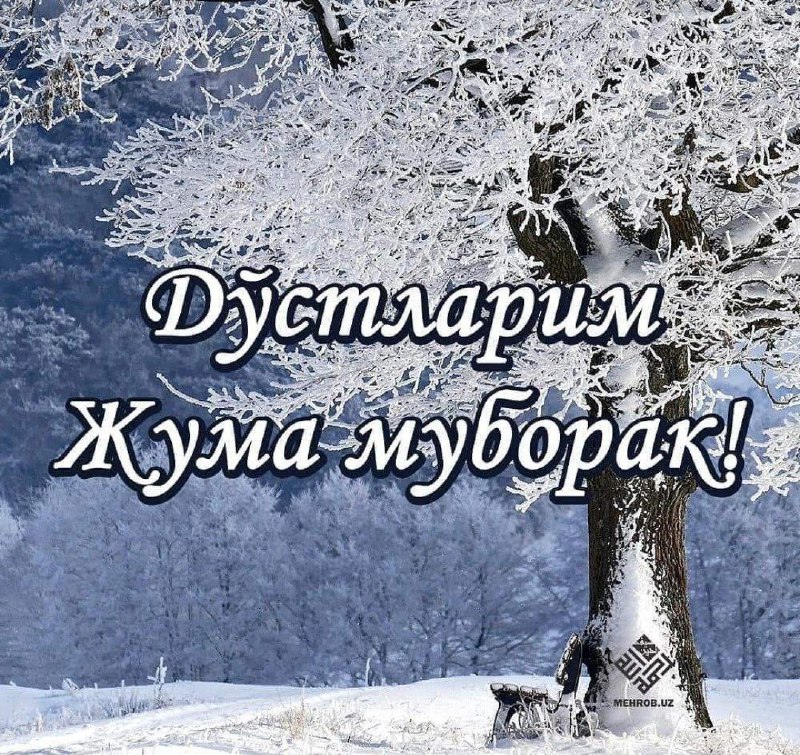 ***❄️*** **АССАЛОМУ АЛАЙКУМ**.